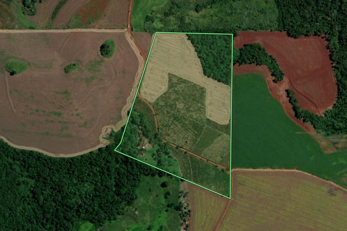 Imagem de satélite do imóvel rural em Londrina (PR), com o contorno declarado no CAR desenhado por cima.