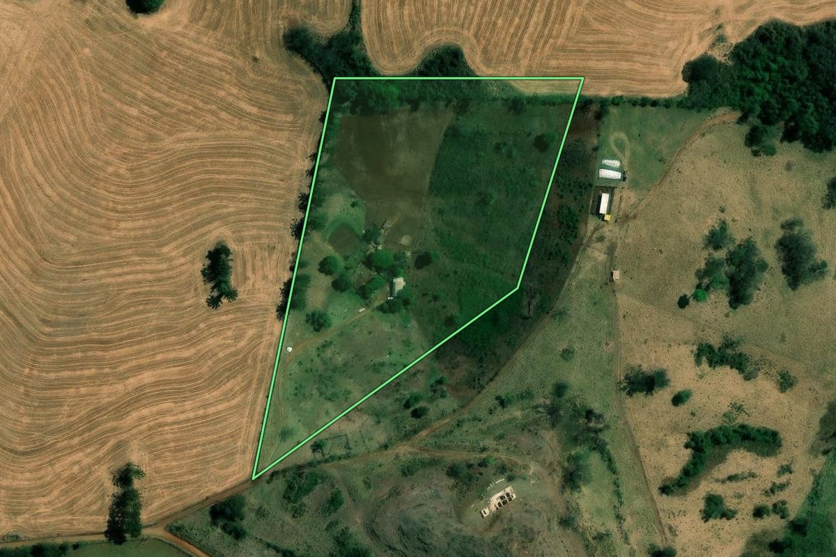 Imagem de satélite do imóvel rural em Londrina (PR), com o contorno declarado no CAR desenhado por cima.