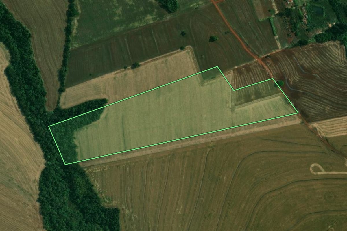Imagem de satélite do imóvel rural em Londrina (PR), com o contorno declarado no CAR desenhado por cima.