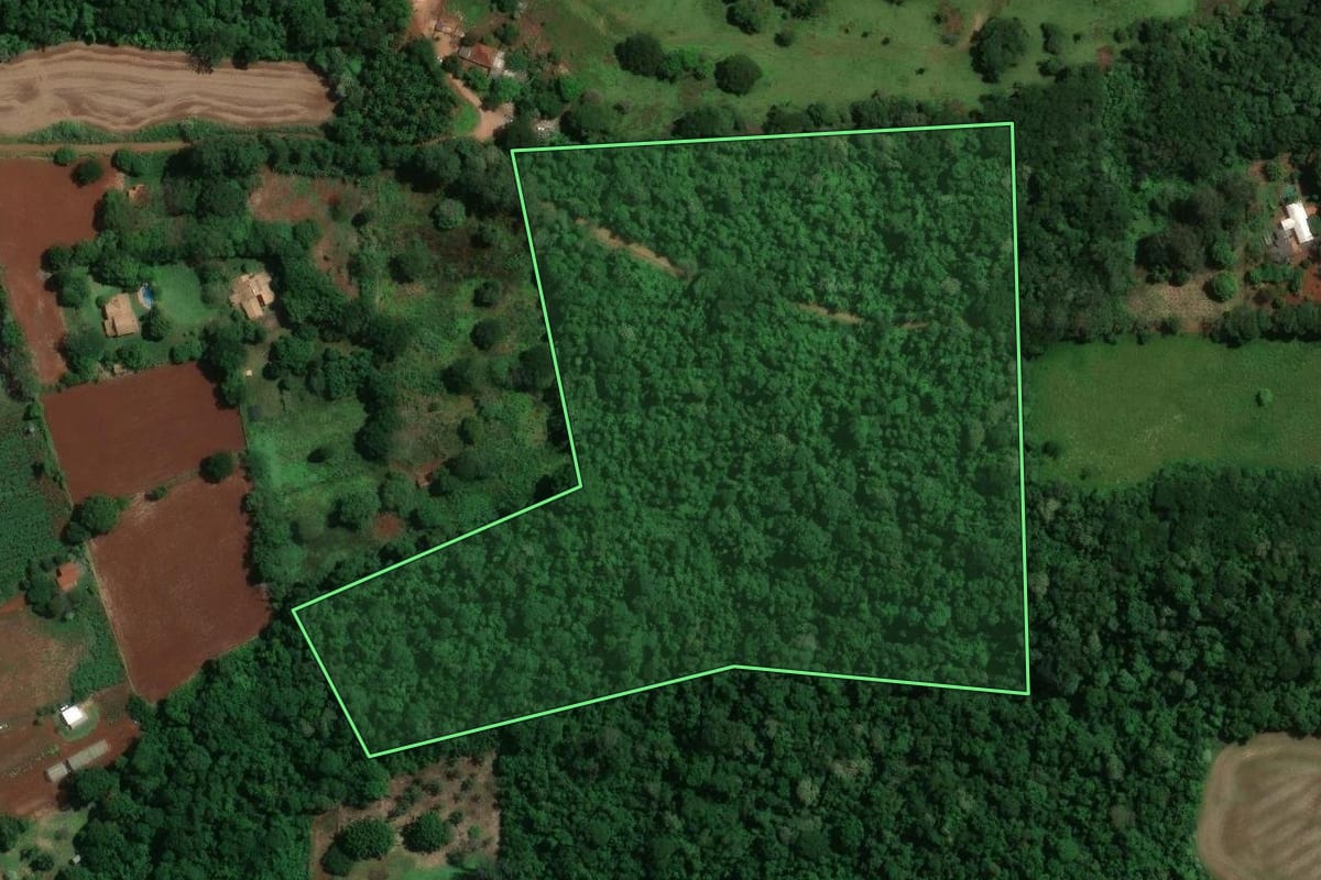 Imagem de satélite do imóvel rural em Londrina (PR), com o contorno declarado no CAR desenhado por cima.
