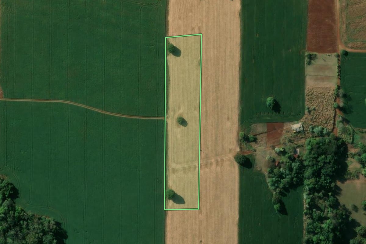 Imagem de satélite do imóvel rural em Londrina (PR), com o contorno declarado no CAR desenhado por cima.