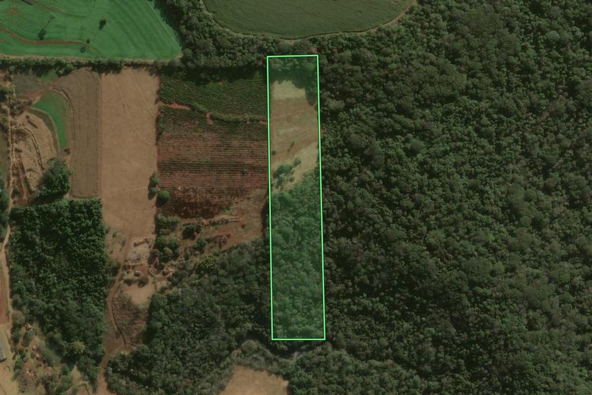 Imagem de satélite do imóvel rural em Londrina (PR), com o contorno declarado no CAR desenhado por cima.