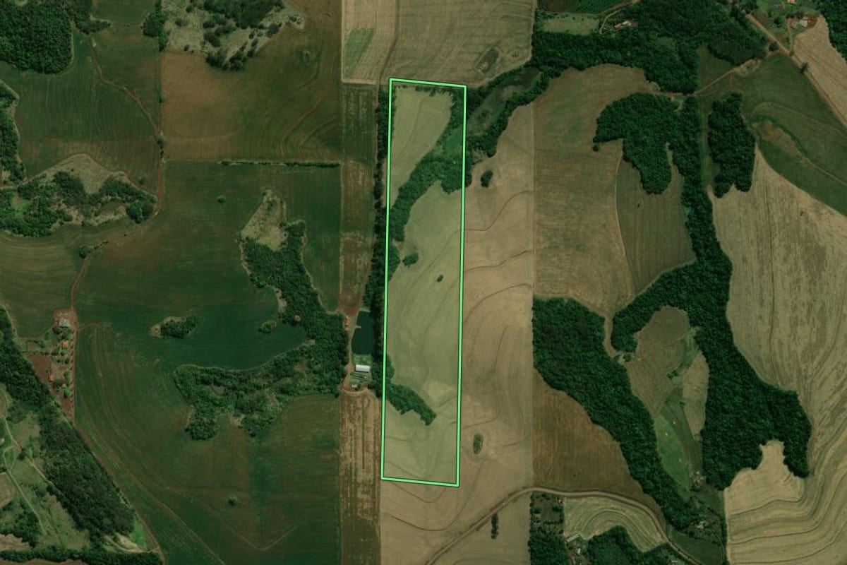 Imagem de satélite do imóvel rural em Londrina (PR), com o contorno declarado no CAR desenhado por cima.