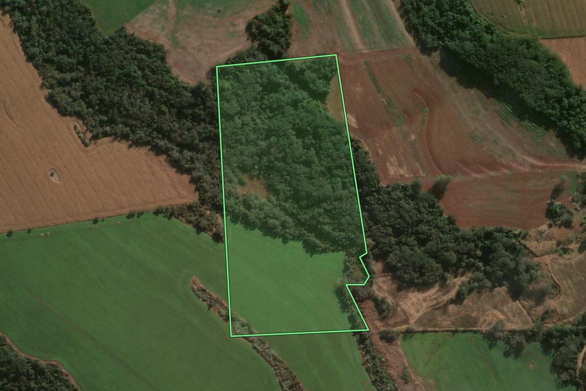 Imagem de satélite do imóvel rural em Londrina (PR), com o contorno declarado no CAR desenhado por cima.