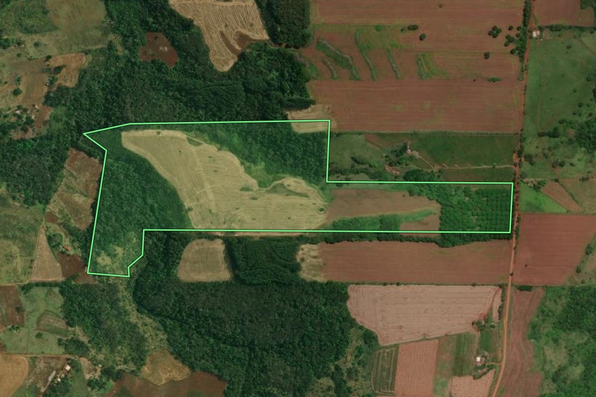 Imagem de satélite do imóvel rural em Londrina (PR), com o contorno declarado no CAR desenhado por cima.