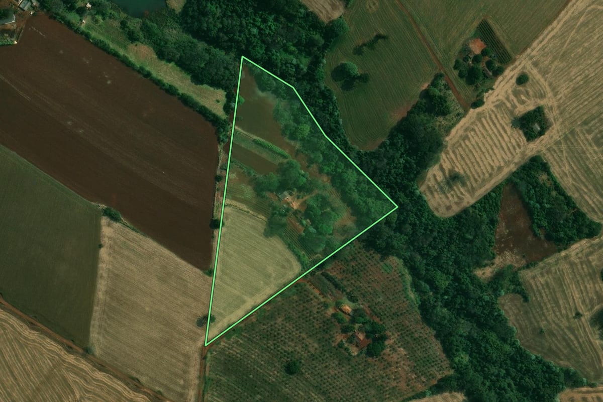 Imagem de satélite do imóvel rural em Londrina (PR), com o contorno declarado no CAR desenhado por cima.