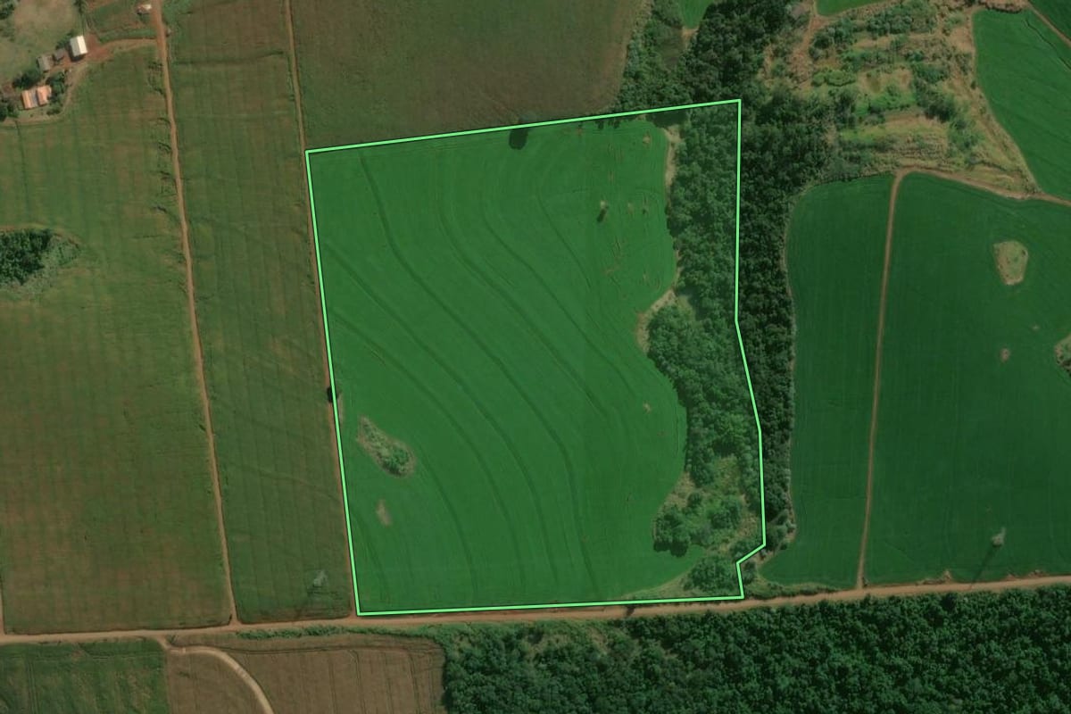 Imagem de satélite do imóvel rural em Londrina (PR), com o contorno declarado no CAR desenhado por cima.