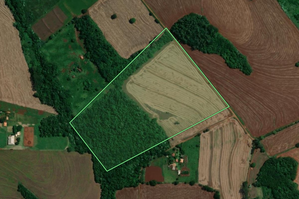 Imagem de satélite do imóvel rural em Londrina (PR), com o contorno declarado no CAR desenhado por cima.