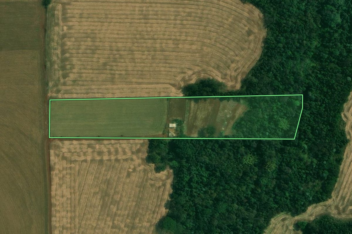 Imagem de satélite do imóvel rural em Londrina (PR), com o contorno declarado no CAR desenhado por cima.