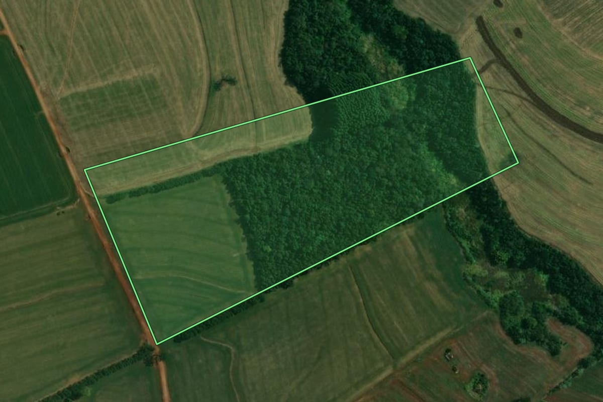 Imagem de satélite do imóvel rural em Londrina (PR), com o contorno declarado no CAR desenhado por cima.