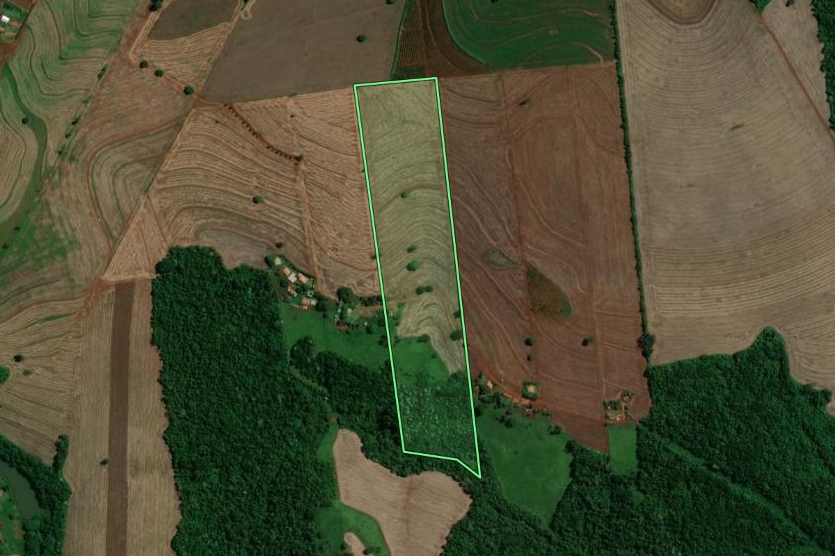Imagem de satélite do imóvel rural em Londrina (PR), com o contorno declarado no CAR desenhado por cima.