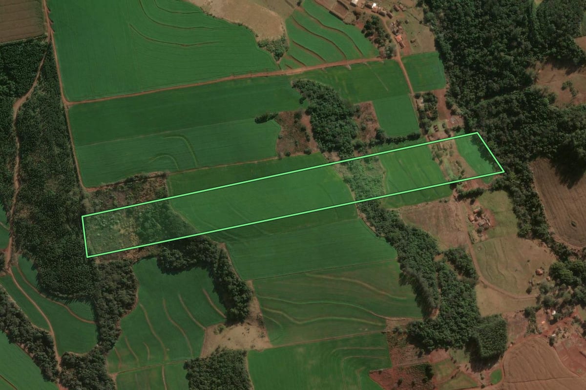 Imagem de satélite do imóvel rural em Londrina (PR), com o contorno declarado no CAR desenhado por cima.