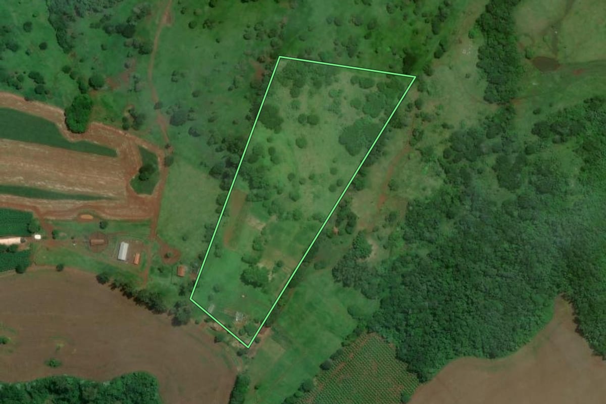 Imagem de satélite do imóvel rural em Londrina (PR), com o contorno declarado no CAR desenhado por cima.
