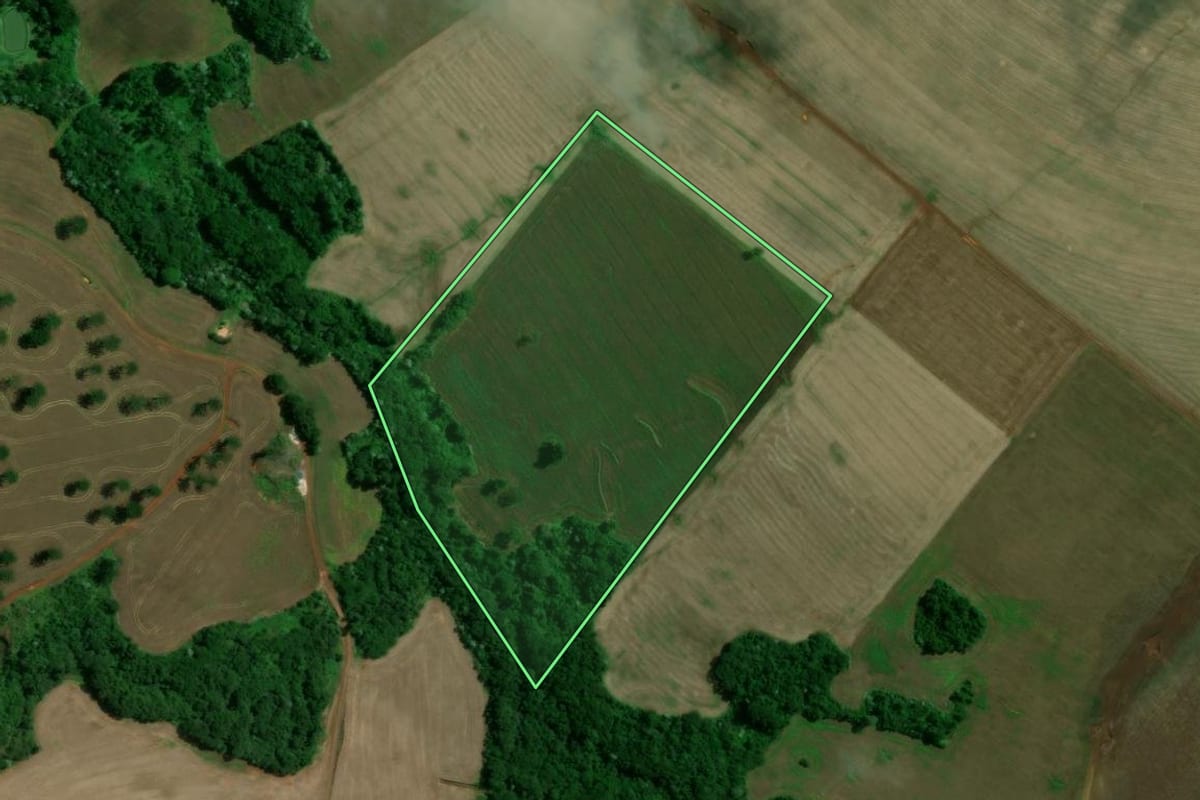 Imagem de satélite do imóvel rural em Londrina (PR), com o contorno declarado no CAR desenhado por cima.