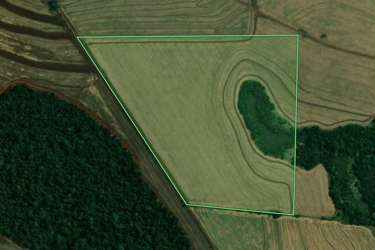 Imagem de satélite do imóvel rural em Londrina (PR), com o contorno declarado no CAR desenhado por cima.