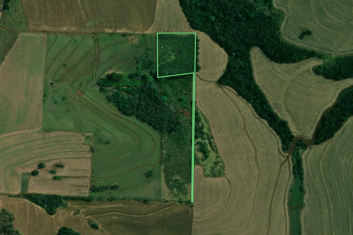Imagem de satélite do imóvel rural em Londrina (PR), com o contorno declarado no CAR desenhado por cima.