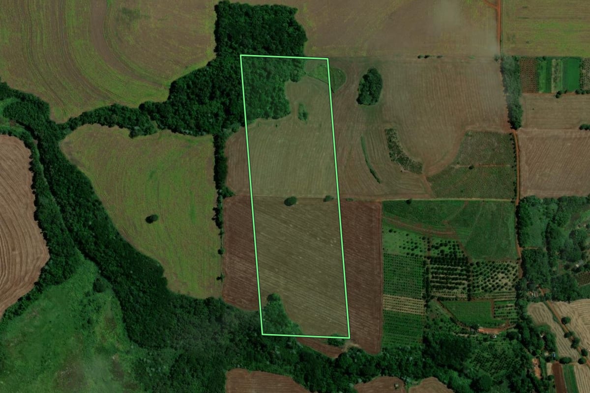 Imagem de satélite do imóvel rural em Londrina (PR), com o contorno declarado no CAR desenhado por cima.