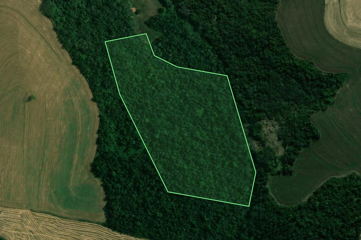 Imagem de satélite do imóvel rural em Londrina (PR), com o contorno declarado no CAR desenhado por cima.