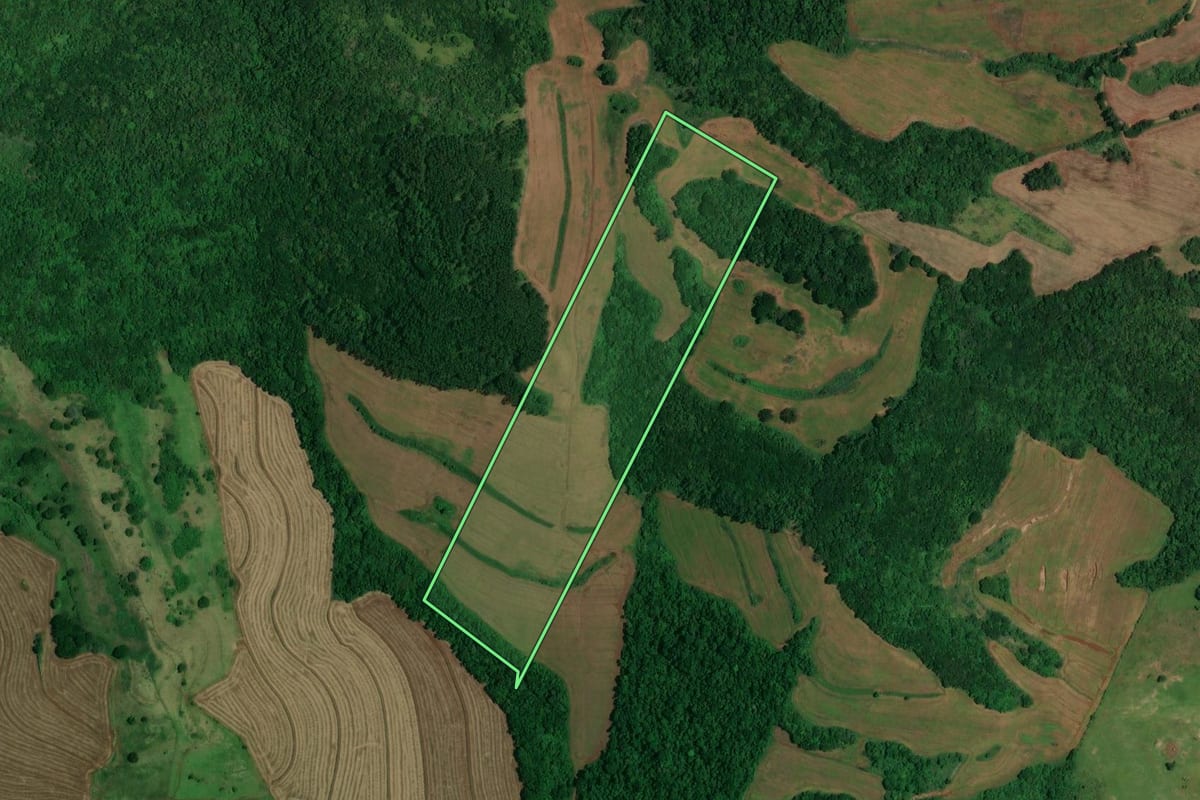 Imagem de satélite do imóvel rural em Londrina (PR), com o contorno declarado no CAR desenhado por cima.