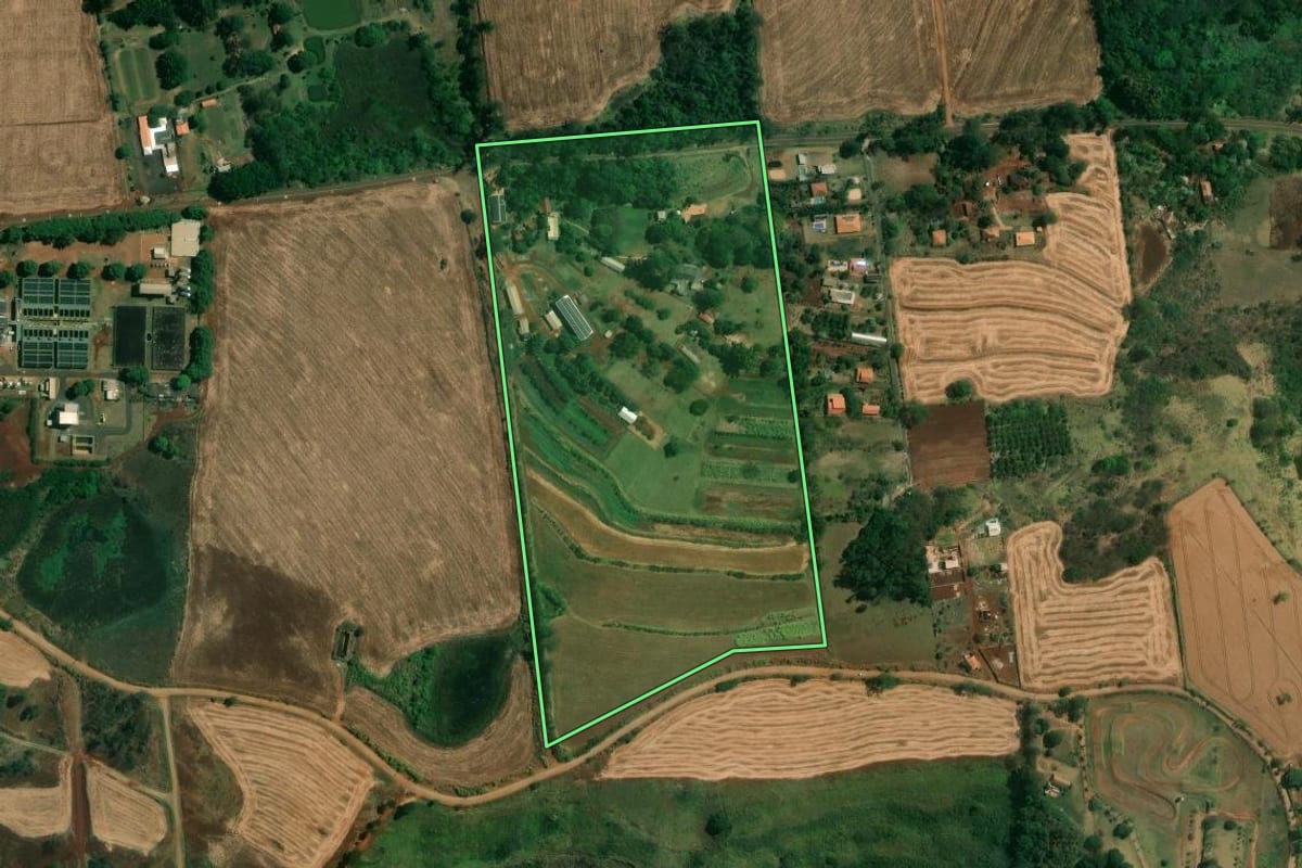 Imagem de satélite do imóvel rural em Londrina (PR), com o contorno declarado no CAR desenhado por cima.
