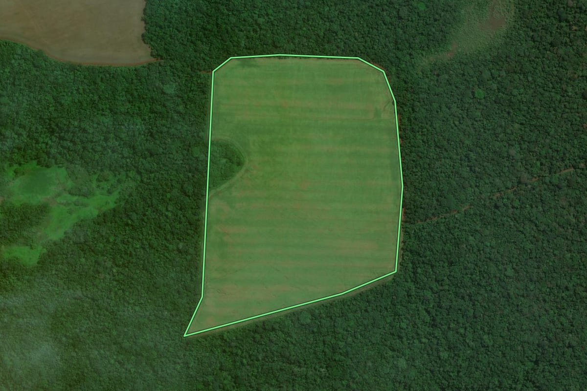 Imagem de satélite do imóvel rural em Londrina (PR), com o contorno declarado no CAR desenhado por cima.