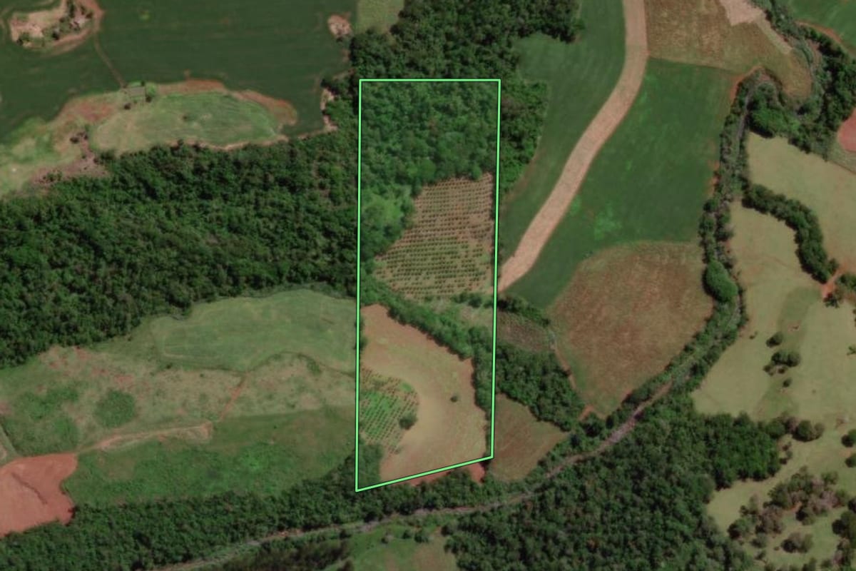 Imagem de satélite do imóvel rural em Londrina (PR), com o contorno declarado no CAR desenhado por cima.
