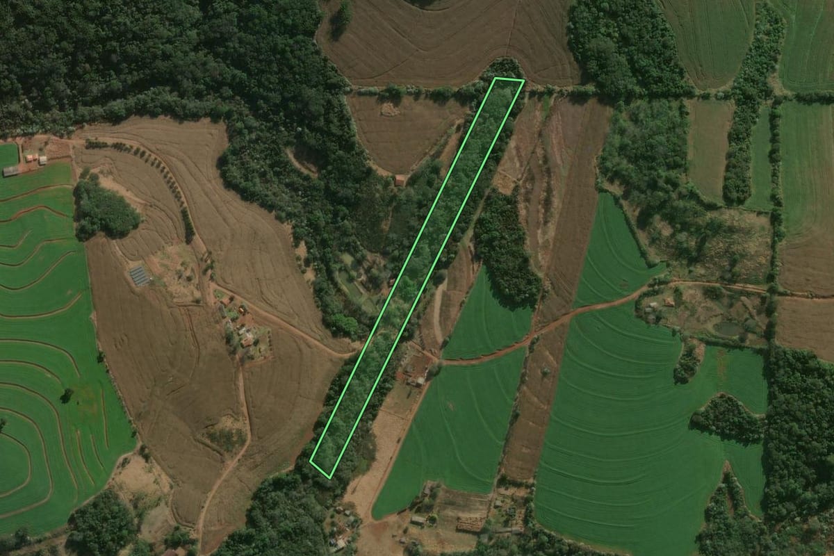 Imagem de satélite do imóvel rural em Londrina (PR), com o contorno declarado no CAR desenhado por cima.