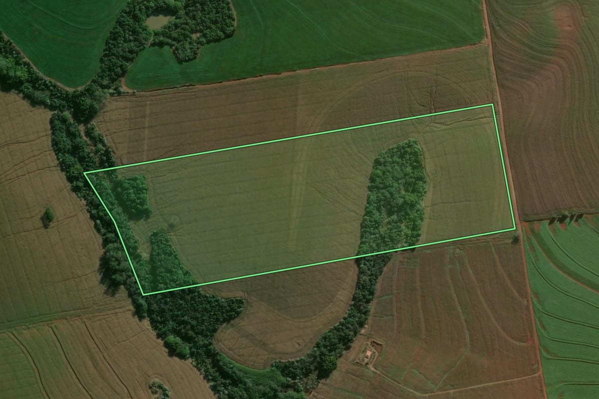 Imagem de satélite do imóvel rural em Londrina (PR), com o contorno declarado no CAR desenhado por cima.