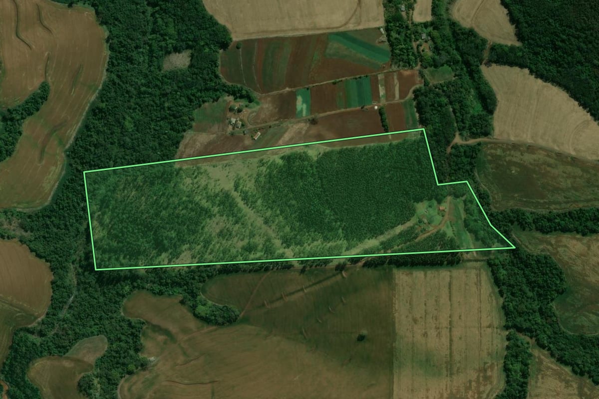 Imagem de satélite do imóvel rural em Londrina (PR), com o contorno declarado no CAR desenhado por cima.