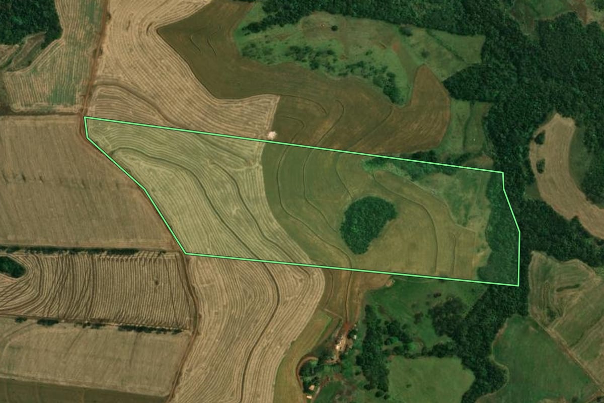 Imagem de satélite do imóvel rural em Londrina (PR), com o contorno declarado no CAR desenhado por cima.