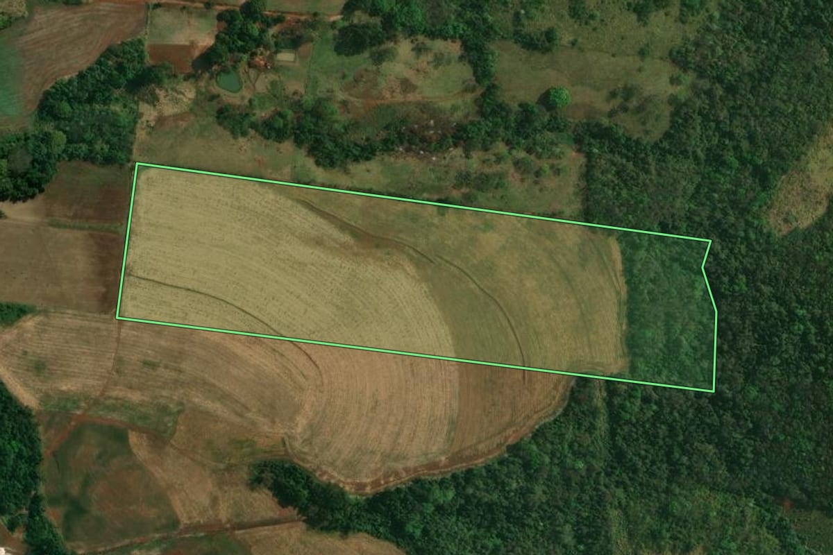Imagem de satélite do imóvel rural em Londrina (PR), com o contorno declarado no CAR desenhado por cima.