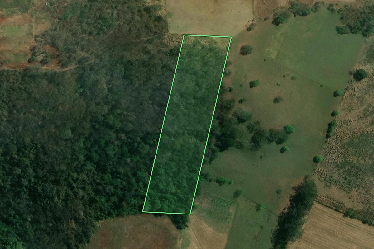 Imagem de satélite do imóvel rural em Londrina (PR), com o contorno declarado no CAR desenhado por cima.