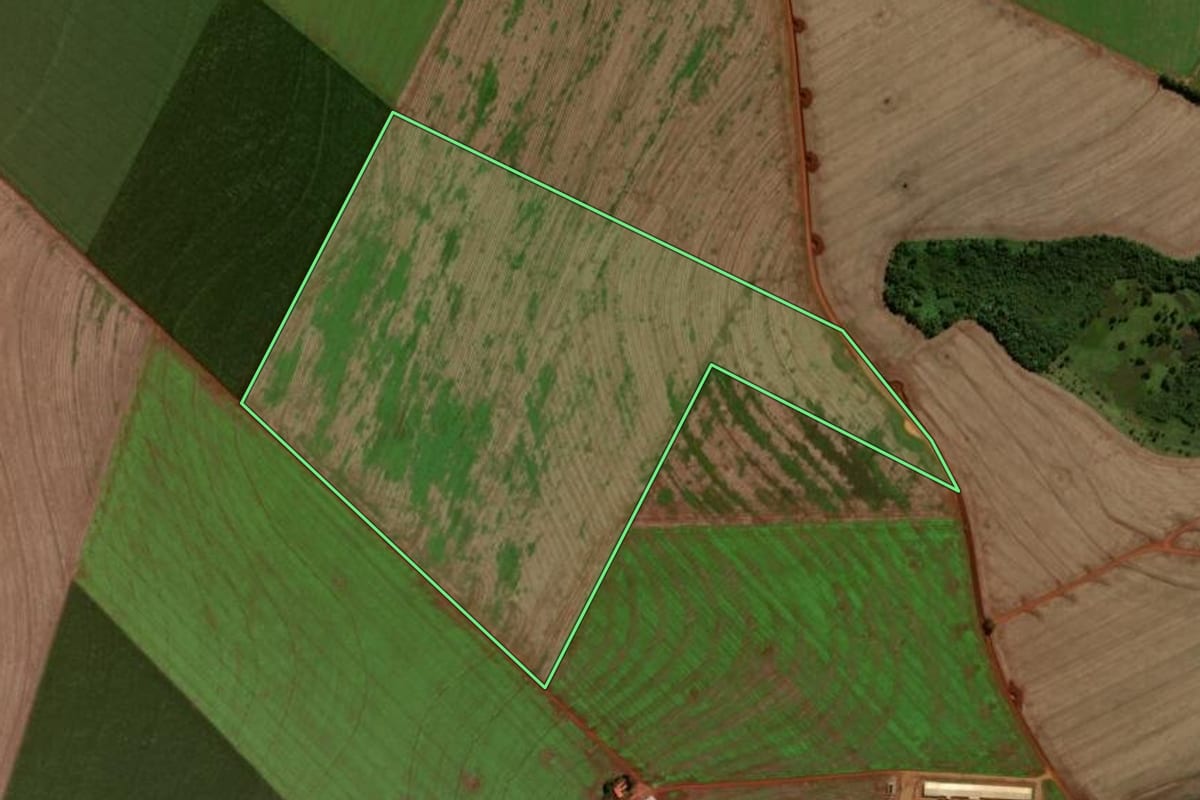 Imagem de satélite do imóvel rural em Luiziana (PR), com o contorno declarado no CAR desenhado por cima.