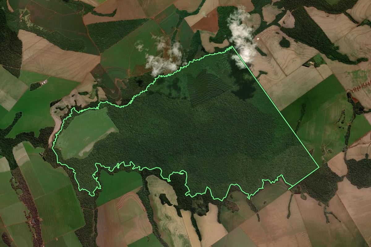 Imagem de satélite do imóvel rural em Luiziana (PR), com o contorno declarado no CAR desenhado por cima.