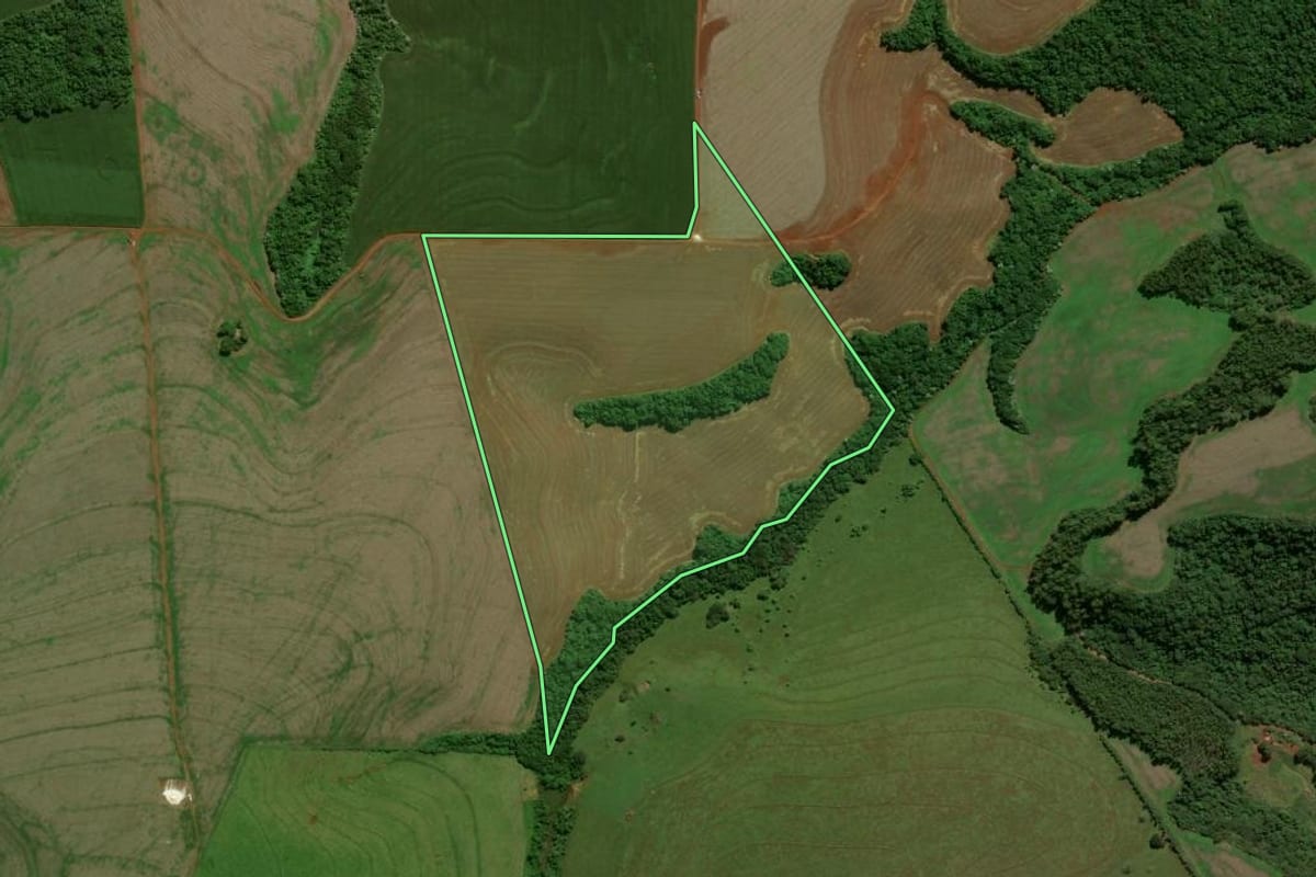 Imagem de satélite do imóvel rural em Luiziana (PR), com o contorno declarado no CAR desenhado por cima.
