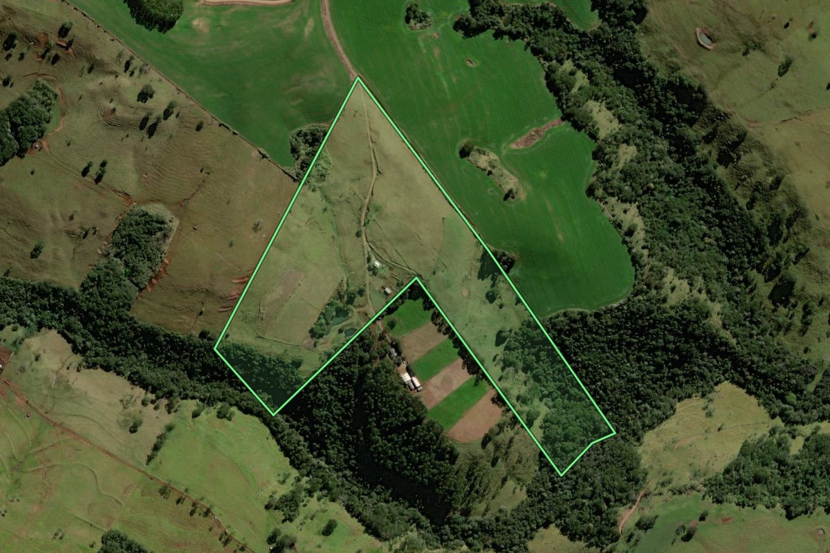 Imagem de satélite do imóvel rural em Luiziana (PR), com o contorno declarado no CAR desenhado por cima.