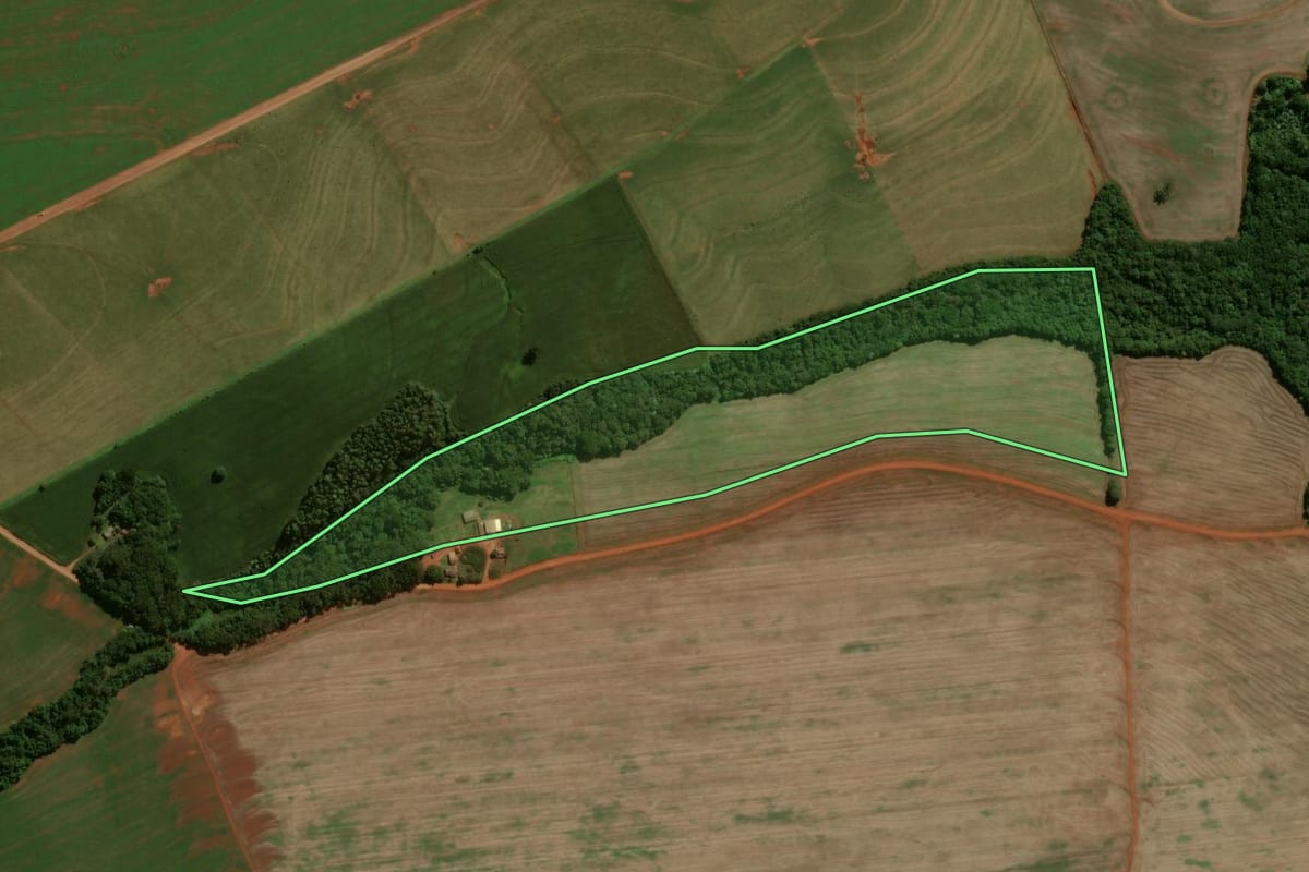 Imagem de satélite do imóvel rural em Luiziana (PR), com o contorno declarado no CAR desenhado por cima.