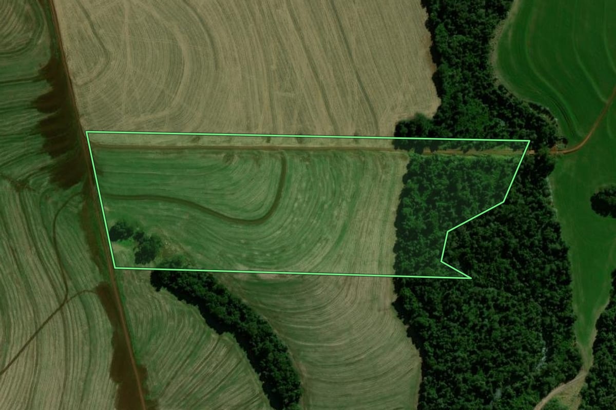 Imagem de satélite do imóvel rural em Luiziana (PR), com o contorno declarado no CAR desenhado por cima.