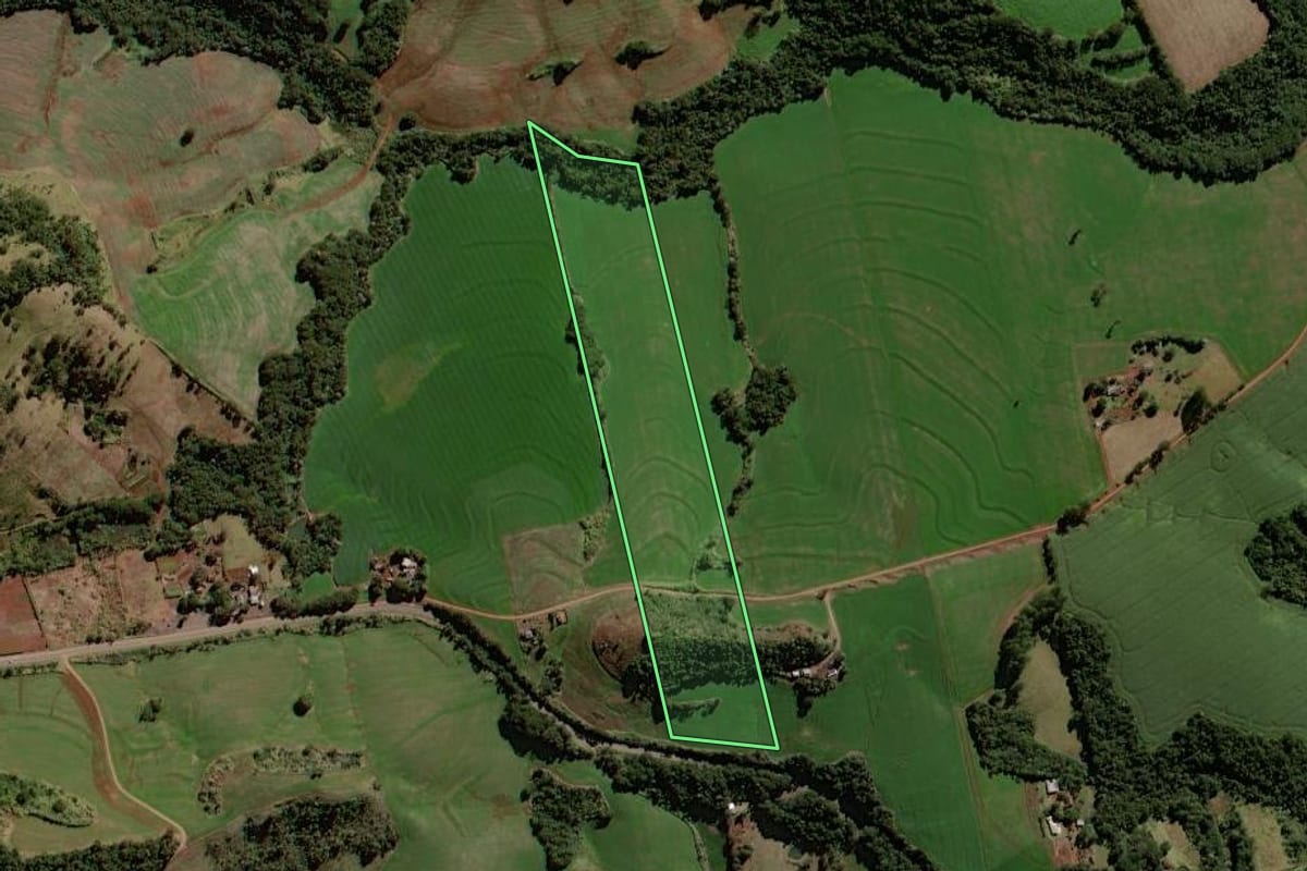Imagem de satélite do imóvel rural em Luiziana (PR), com o contorno declarado no CAR desenhado por cima.