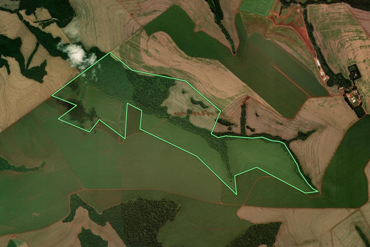 Imagem de satélite do imóvel rural em Luiziana (PR), com o contorno declarado no CAR desenhado por cima.