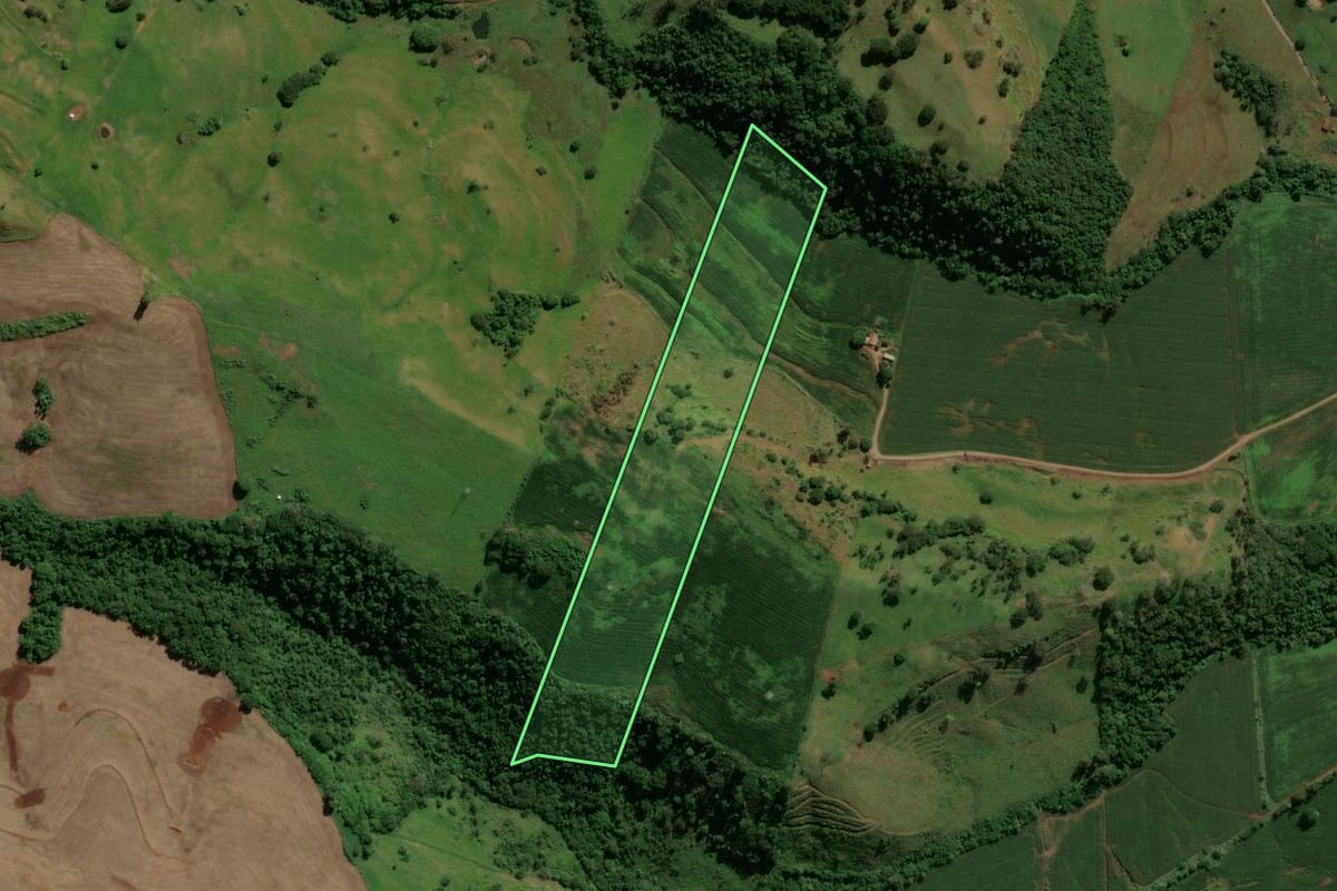 Imagem de satélite do imóvel rural em Lunardelli (PR), com o contorno declarado no CAR desenhado por cima.