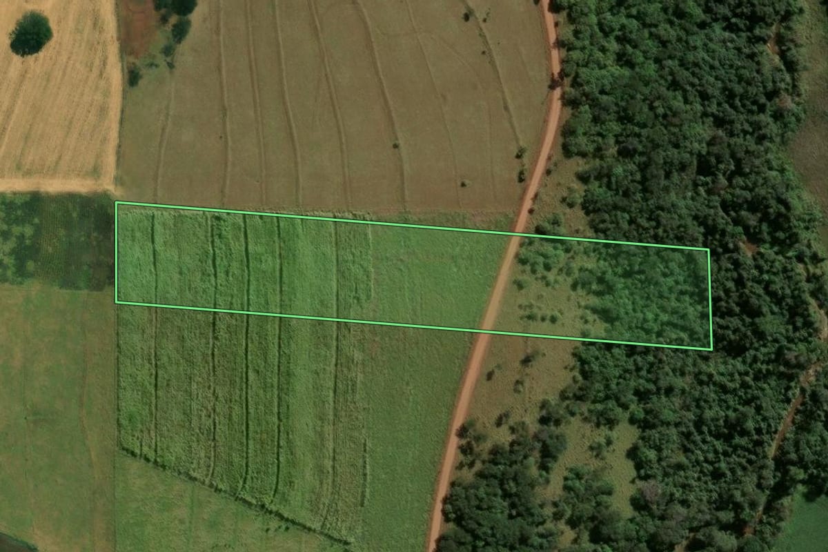 Imagem de satélite do imóvel rural em Lupionópolis (PR), com o contorno declarado no CAR desenhado por cima.