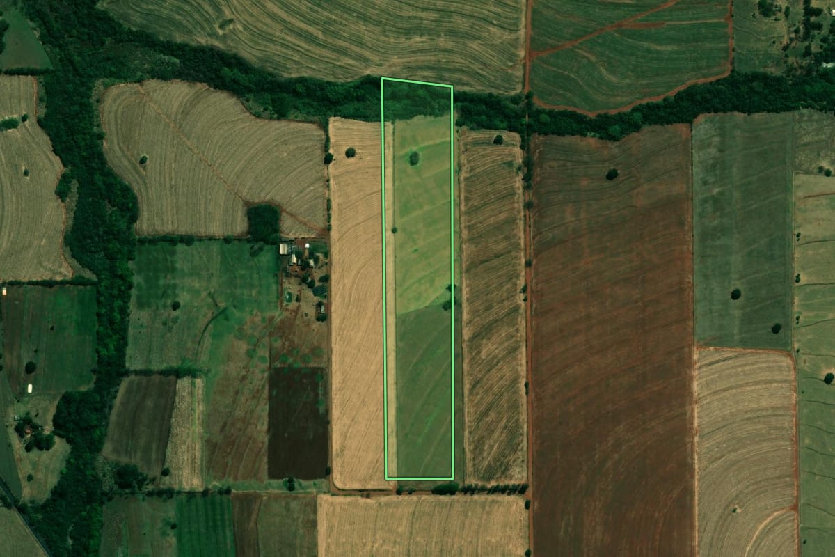 Imagem de satélite do imóvel rural em Lupionópolis (PR), com o contorno declarado no CAR desenhado por cima.