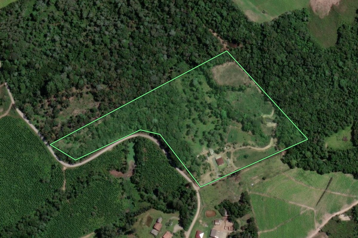 Imagem de satélite do imóvel rural em Mallet (PR), com o contorno declarado no CAR desenhado por cima.