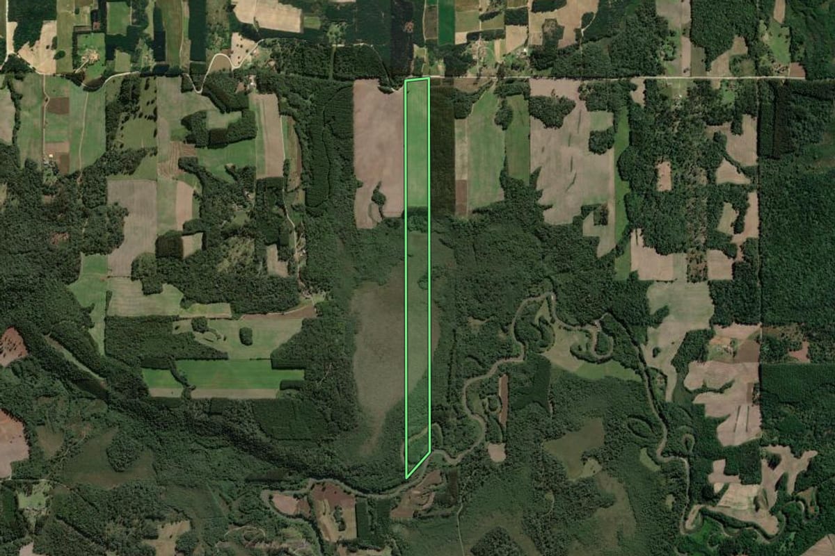 Imagem de satélite do imóvel rural em Mallet (PR), com o contorno declarado no CAR desenhado por cima.