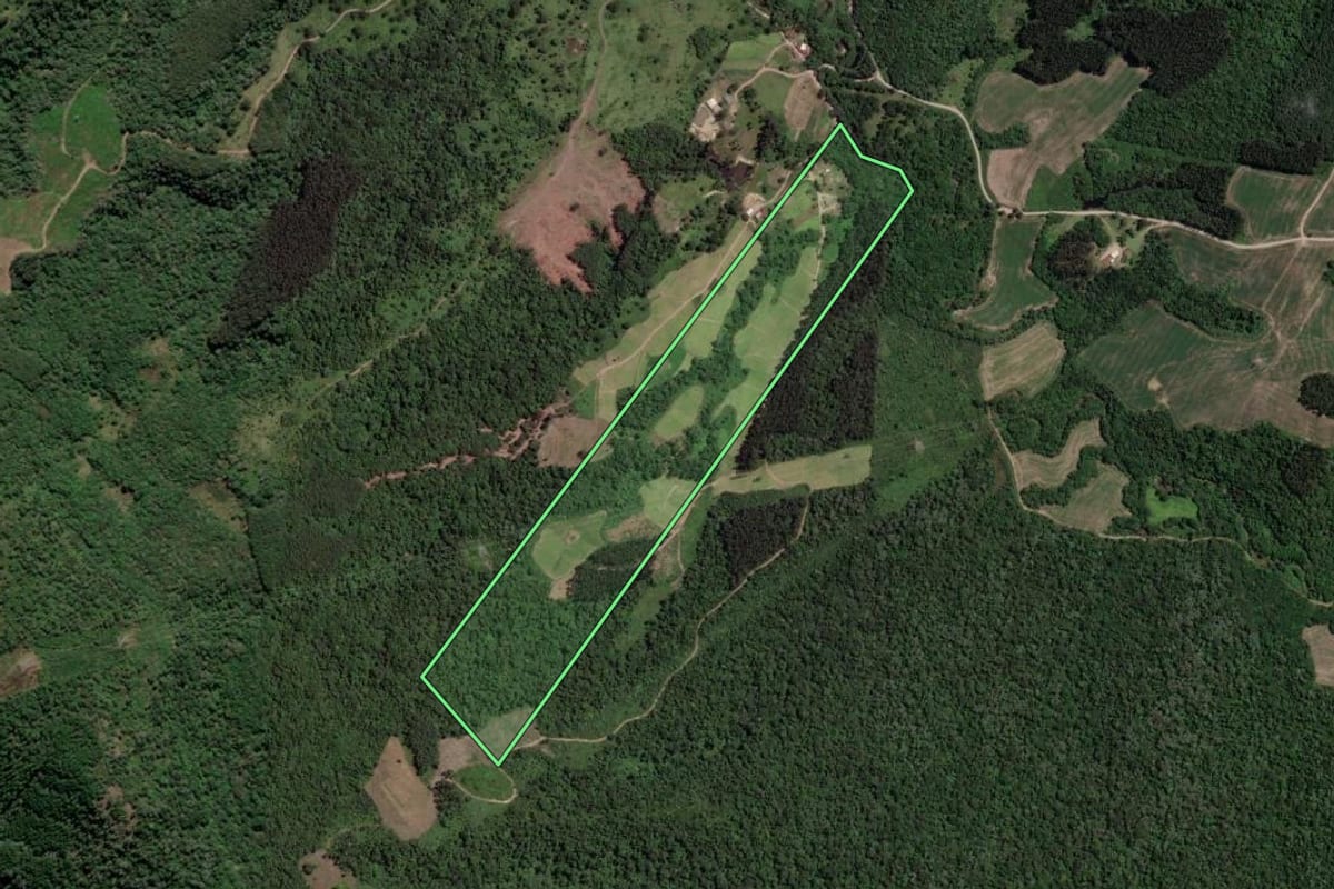 Imagem de satélite do imóvel rural em Mallet (PR), com o contorno declarado no CAR desenhado por cima.