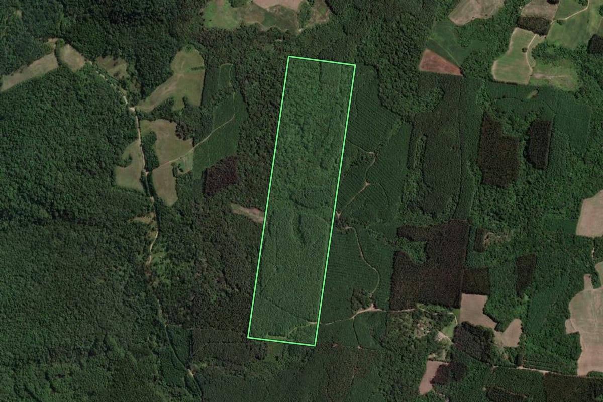 Imagem de satélite do imóvel rural em Mallet (PR), com o contorno declarado no CAR desenhado por cima.