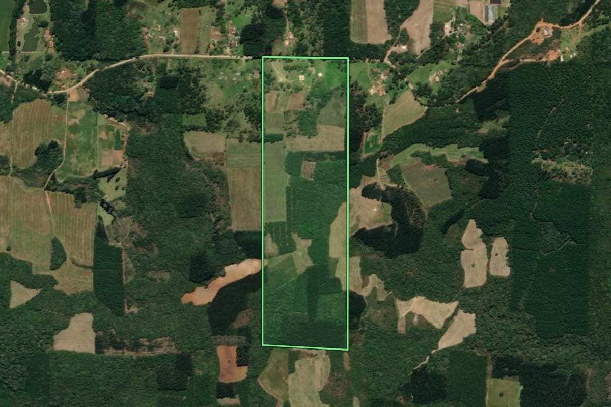Imagem de satélite do imóvel rural em Mallet (PR), com o contorno declarado no CAR desenhado por cima.