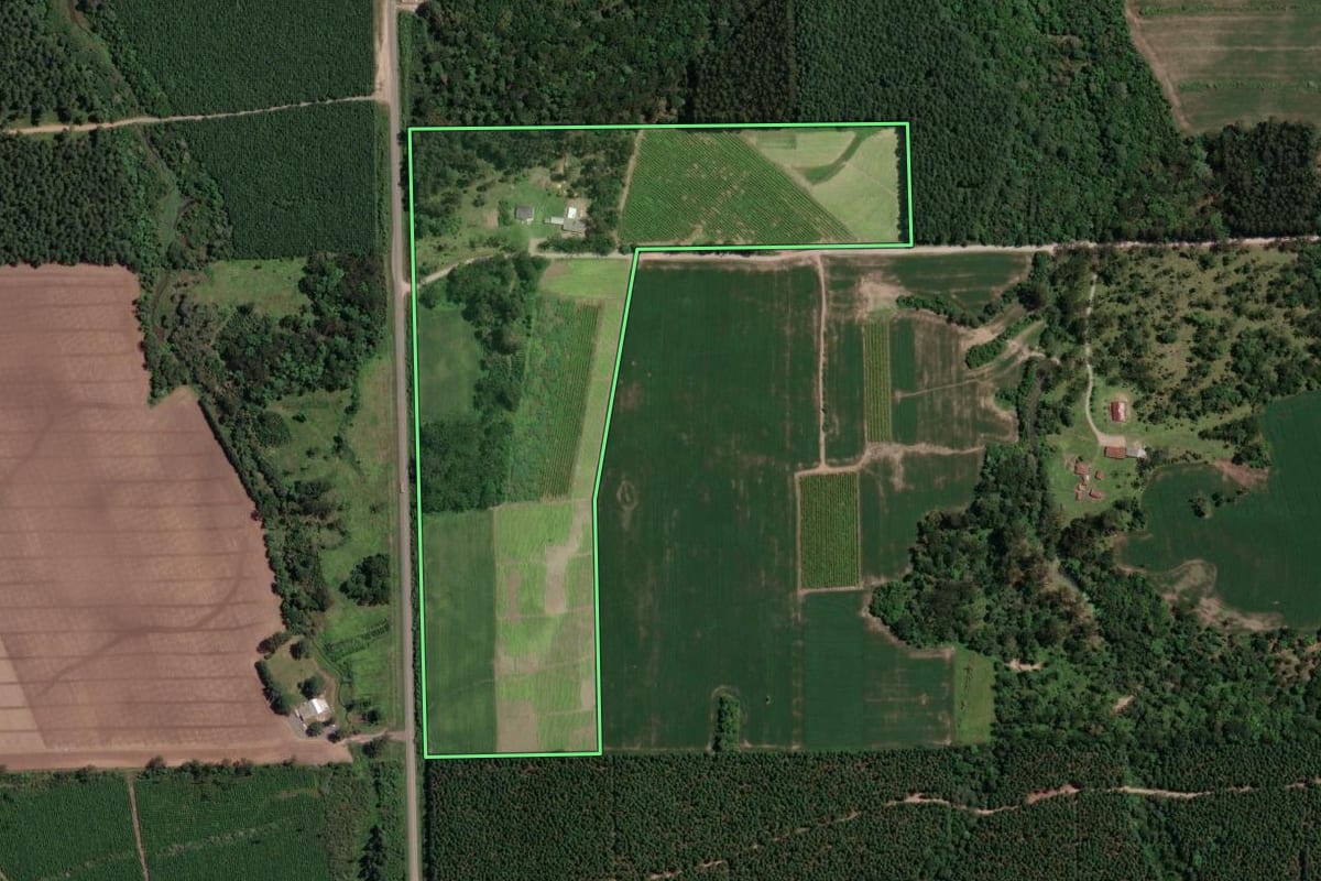 Imagem de satélite do imóvel rural em Mallet (PR), com o contorno declarado no CAR desenhado por cima.