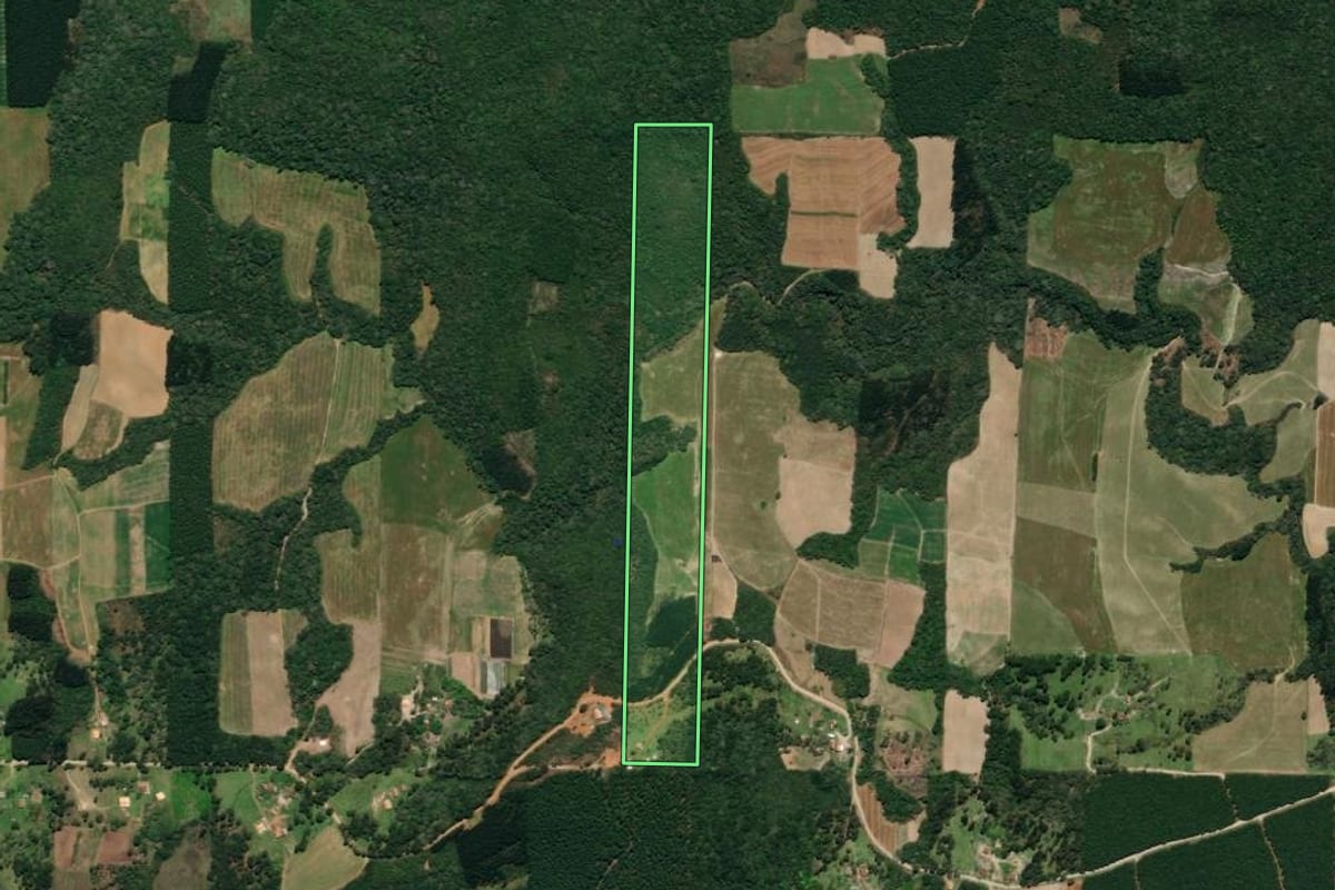 Imagem de satélite do imóvel rural em Mallet (PR), com o contorno declarado no CAR desenhado por cima.